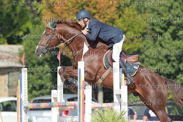 LEGNANI_ODEON_GIO CAV 2011_SS3_6640.jpg